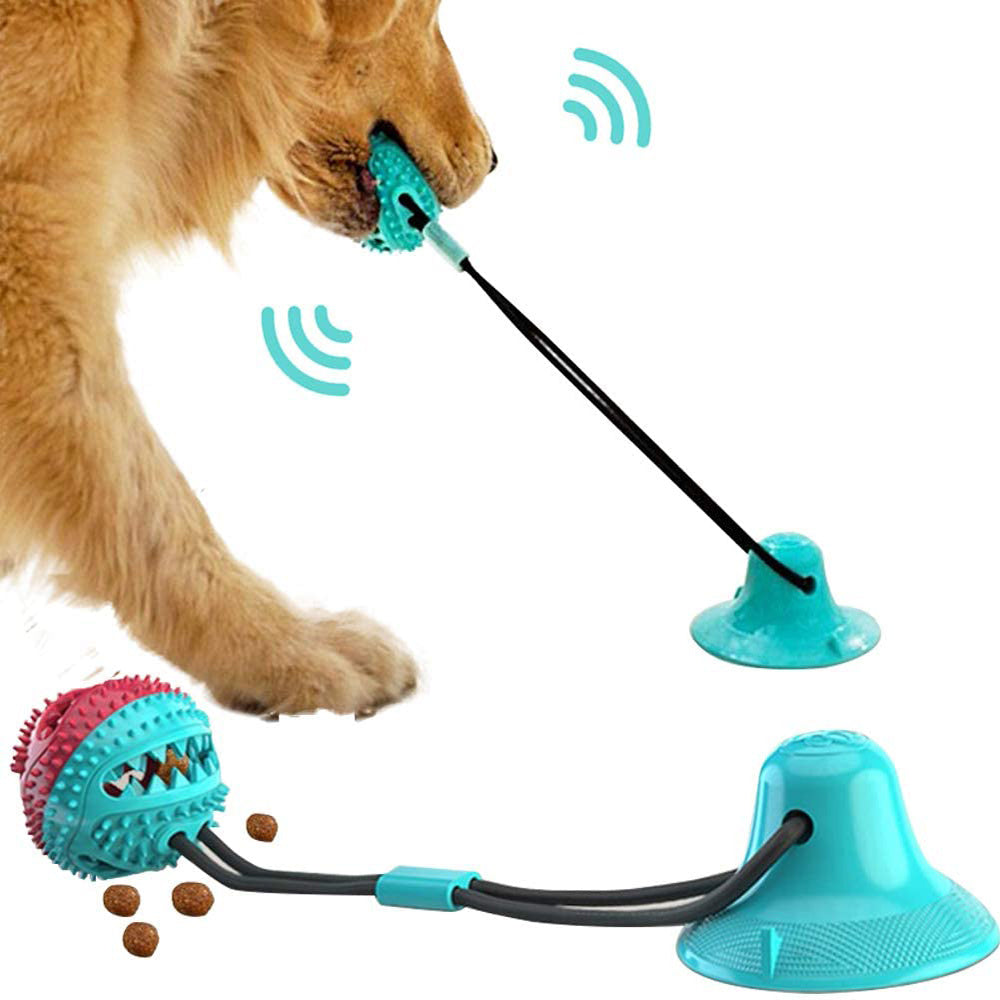 Toy for a dog